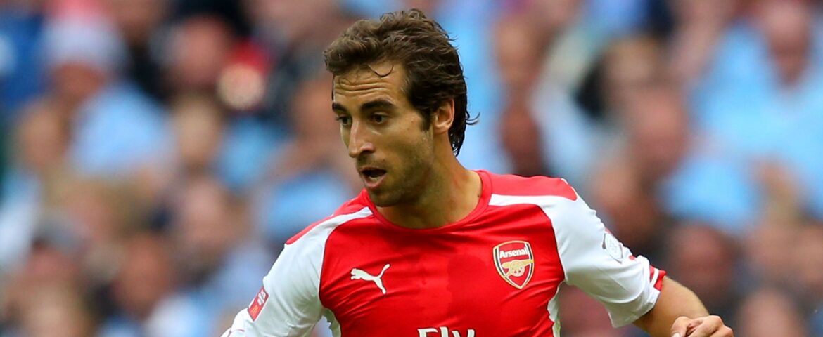 Mathieu Flamini