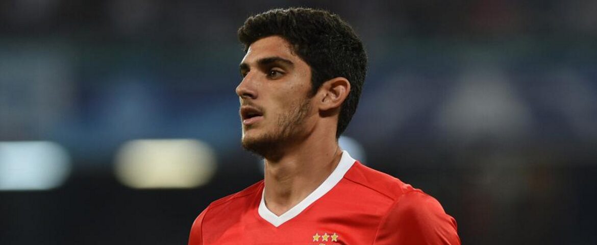 Gonçalo Guedes