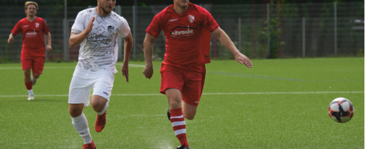 joueurs professionnels